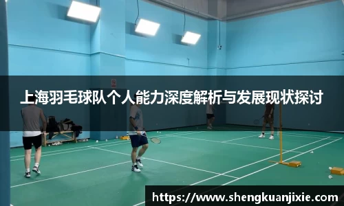 上海羽毛球队个人能力深度解析与发展现状探讨