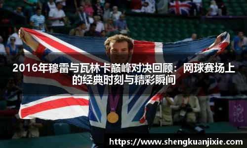 jn体育官网